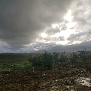 Meet your Posher, Yolanda